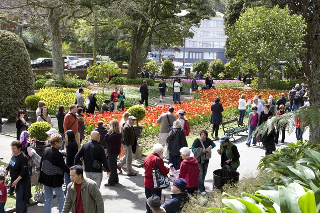 A view of the Wellington Botanic Garden seasonal flower beds, busy with people coverings the paths and trees around the edges.