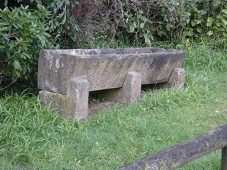 The horse trough on the side of Khandallah Road.