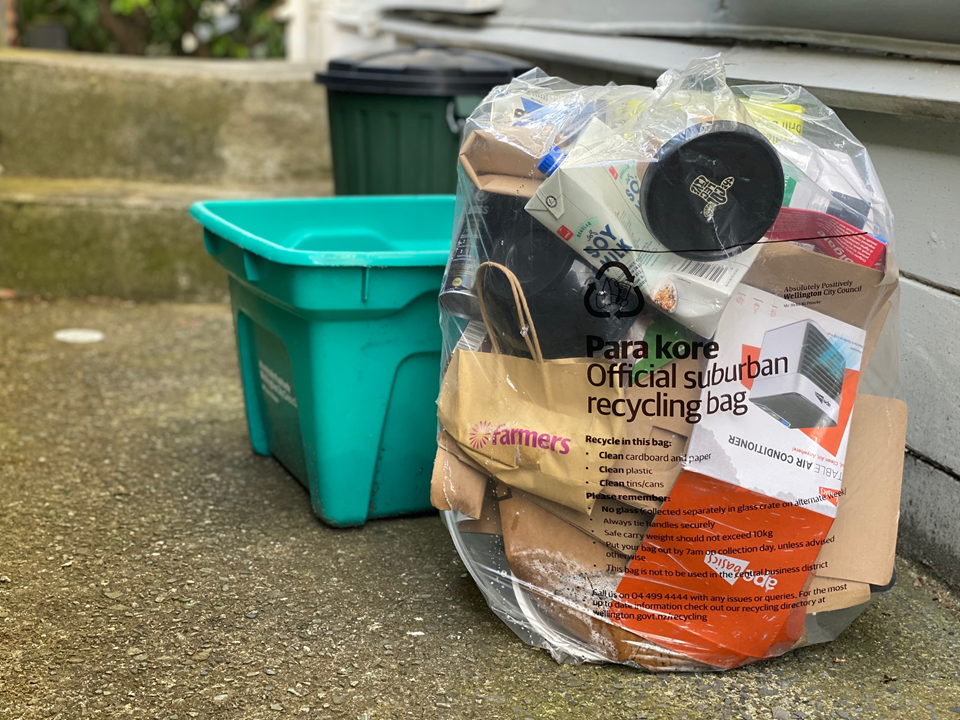 An official council bag of recycling, on the path out the back of a grey-painted house, next to a green bottle recycling bin and rubbish bin, with two steps in background.