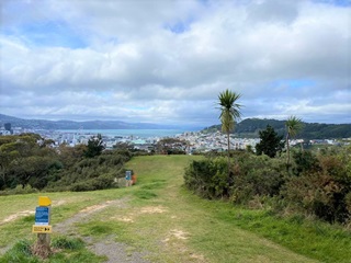 The hillside above Prince of Wales Park in the Town Belt, where the new Omāroro Reservoir is to be constructed. Wellington city, the Hutt Valley, and harbour are visible in background.