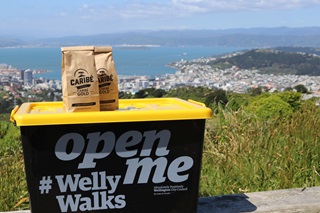 A plastic container with yellow lid, which is the Welly Walks treat box, perched on a hillside with Wellington Harbour in the background, and some paper bags filled with coffee beans on top.