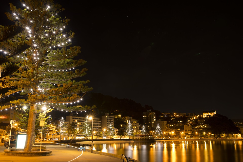 Oriental Bay at night with Christmas decorations. 