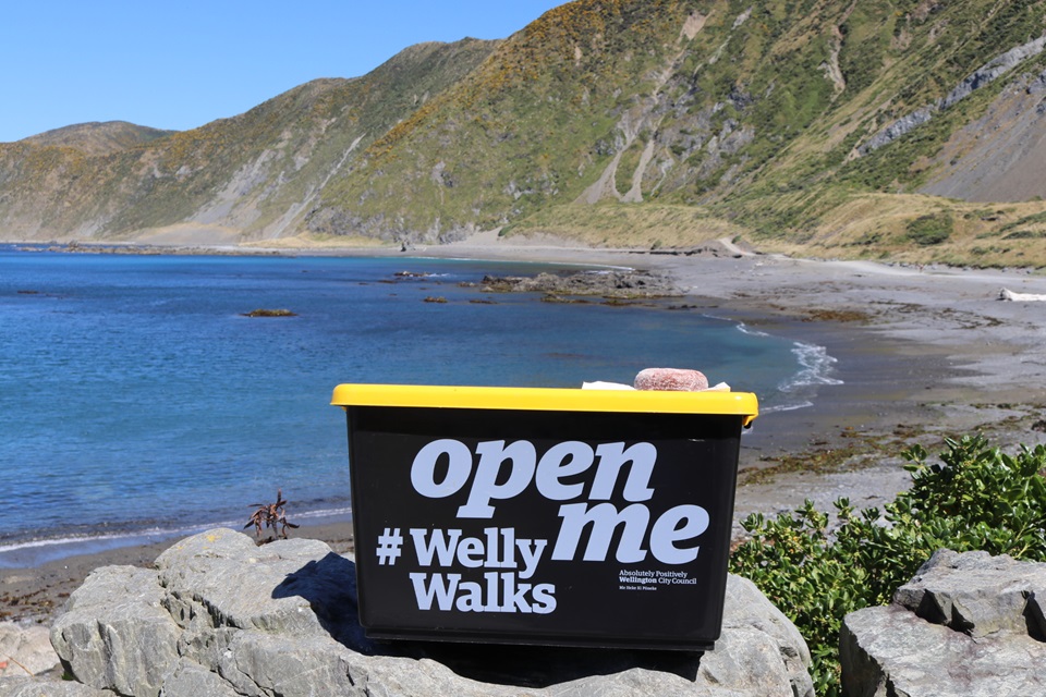 The black and yellow Welly Walks box with a sugary donut on top, sitting on a rocky shoreline with the scenery of Red Rocks and the ocean behind. 