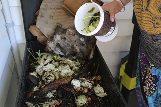 A white pottle of food scraps about to be emptied into a worm farm, a black tub of decomposing food and cardboard.