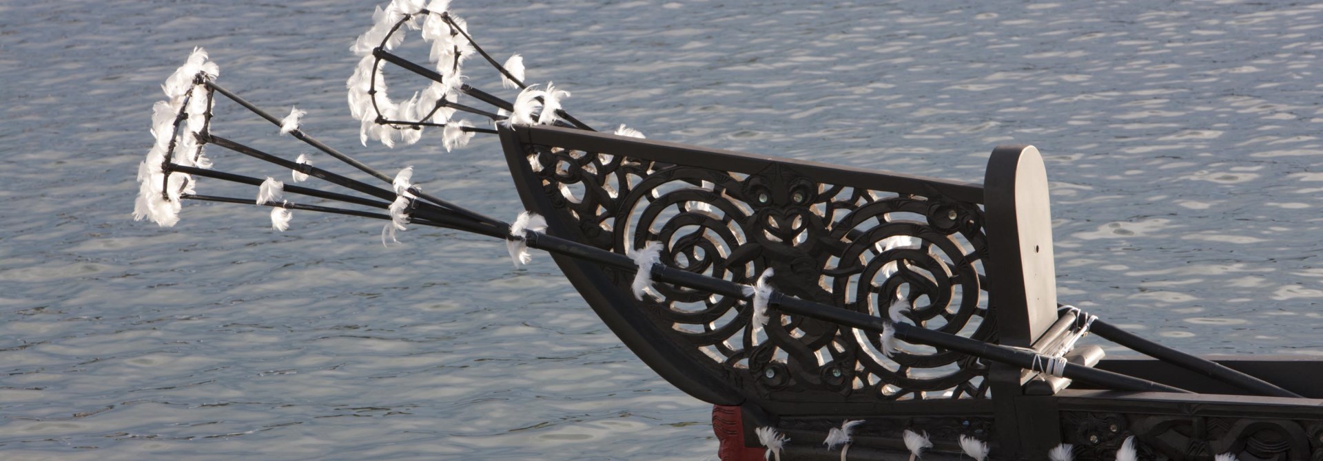Close up photo of the end of a dark waka on the water with white flowers on the end.