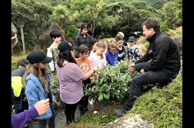 Kids get close to nature with Enviroschools