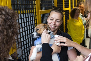 A smiling animal control officer looking at a brown and white dog she is holding, with hands in frame patting the dog with people and yellow and black cages in background.