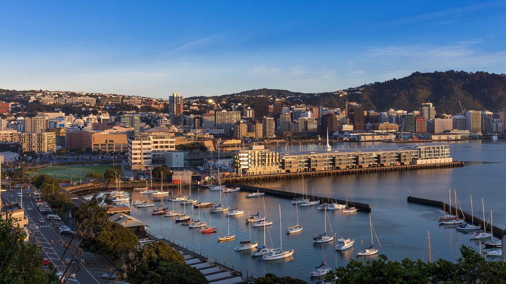 A shot of Oriental Bay on left and the boats moored and city buildings and hills behind, with a bright blue sky above.