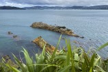 A shot taken from Somes Island, with flax in the foreground at the bottom of the frame, and two small islands below in the ocean, and Wellington in the distance across the harbour.