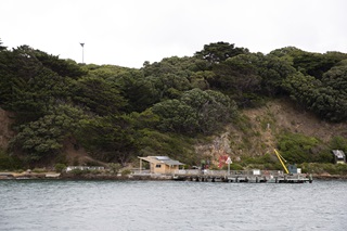 The hillside of Matiu Somes Island in the distance across the water, with the wharf where the ferry parks and the small orange building visitor centre. 