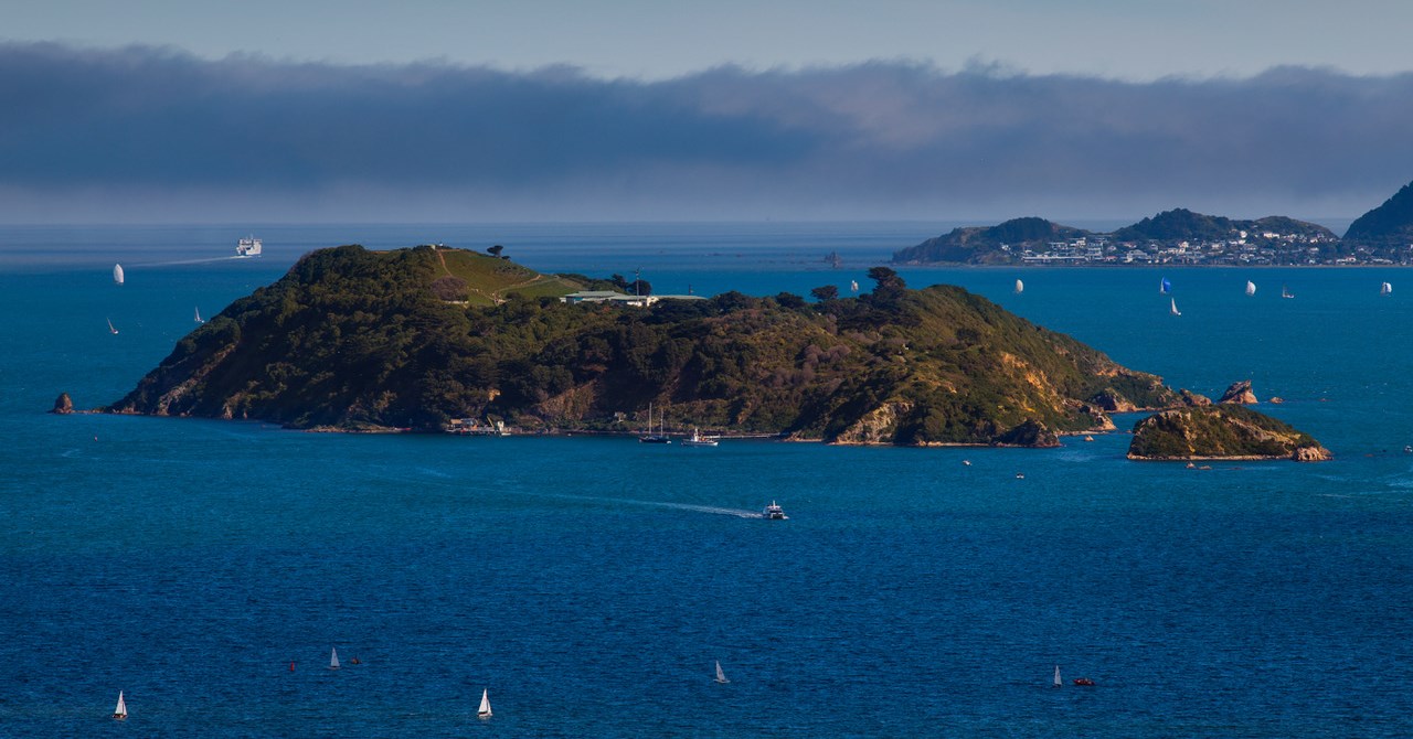 A view looking down at Somes Island in the middle of  abright blue Wellington harbour, with mist and hills beyond.