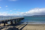 Image of Seatoun Wharf and harbour