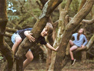 A boy climbing up a tree, hanging onto the trunk with one arm while the other reaches over to another tree, with a girl sitting on another branch behind him.