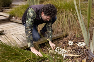A man wearing a green camo bush jersey and black vest leaning over the side of a wooden boardwalk to inspect white, geometrically shaped spheres that are plant matter, which are growing in between native grasses.