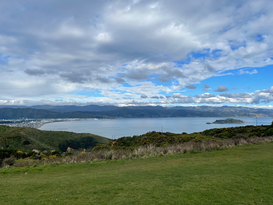 A grassy area at the top of a hill with a magnificant view of Wellington harbour, from Petone on the left to Somes Island on the right.