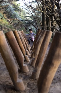 A row of logs neatly laid out upwards in inverted triangles, as a girls with black hair and purple clothes navigates her way stepping through them.