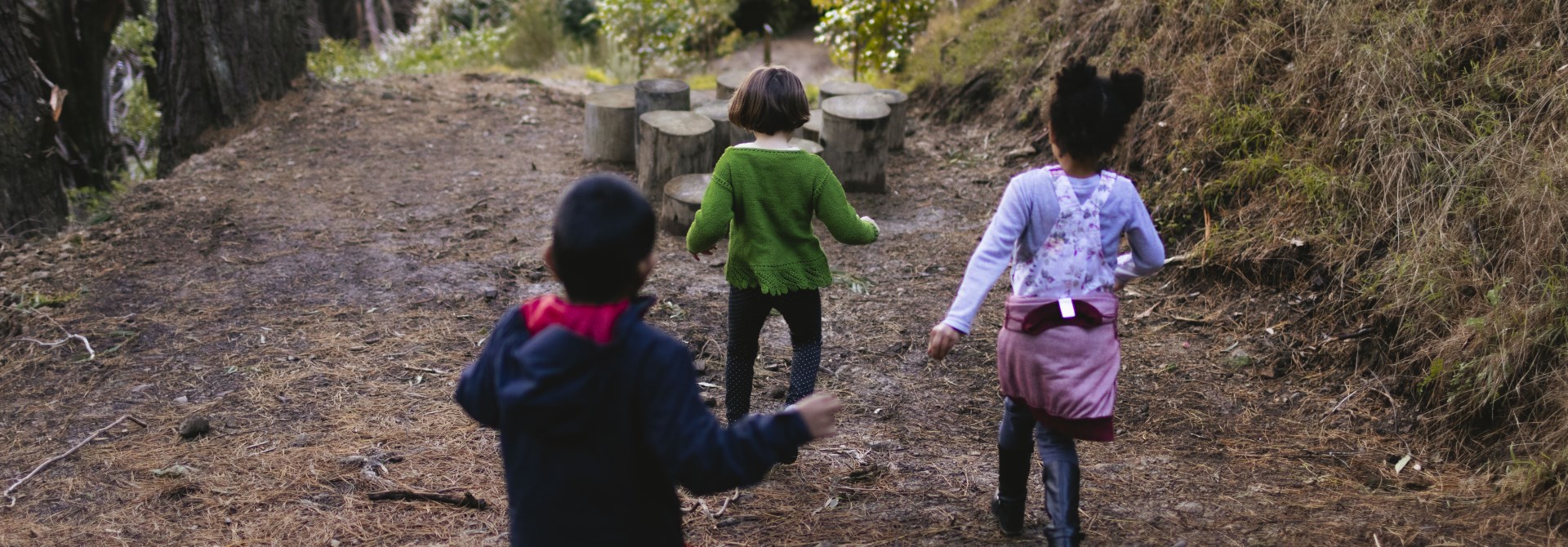 The backs of three small children running towards some short cut stepping logs in a shady pine forest with pin needles on the ground.