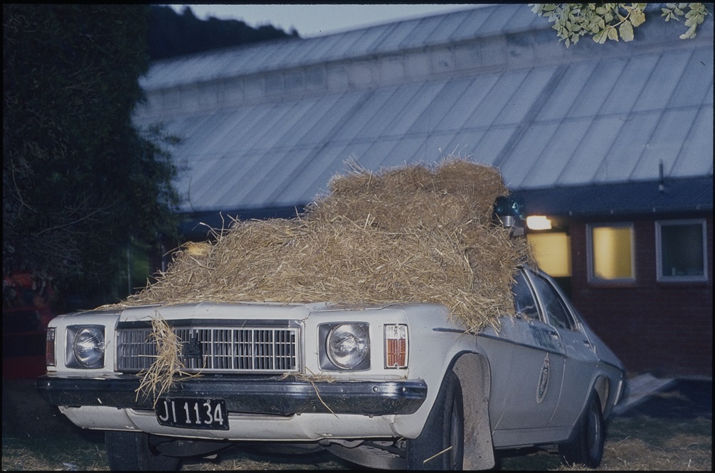 A parked car covered in hay.