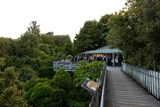 A long boardwalk leading to a building, lit from the inside and surrounded in people, set in the canopy of native bush.