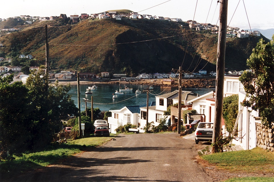 A photo in Island Bay from 1991 looking down onto the little harbour and boats.