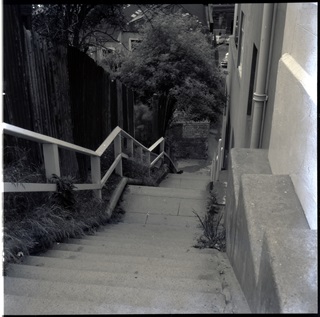 A black and white photo of the concrete steps leading down Tokyo Lane (now Farmers Lane).