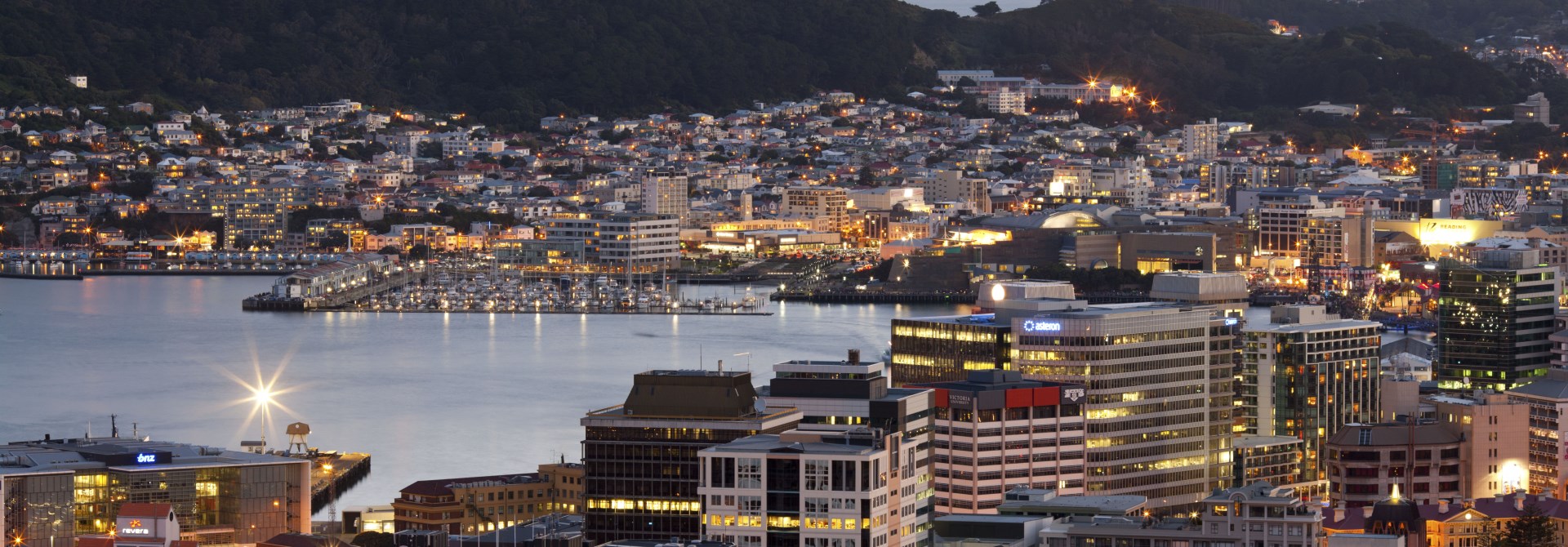 Wellington city centre lit up at night.