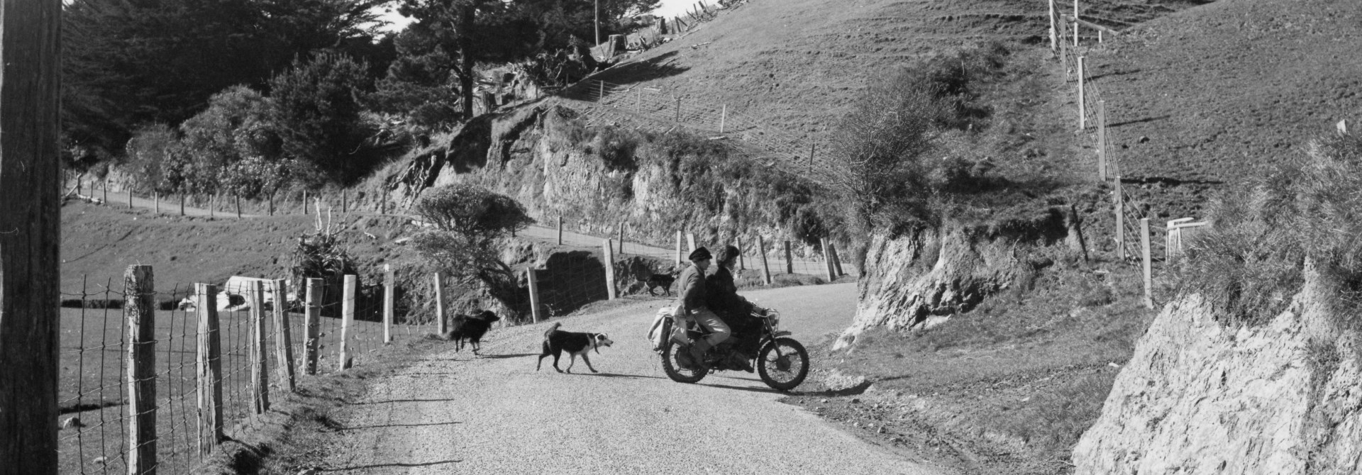 A black and white photo of a couple on a dirt road on the back of a motorbike being followed by two dogs.