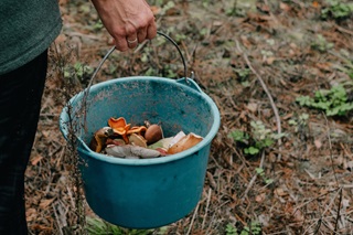 A standing person's hand holding the metal handle of a small green plastic bucket filled with food scraps including mushrooms and citrus peel.