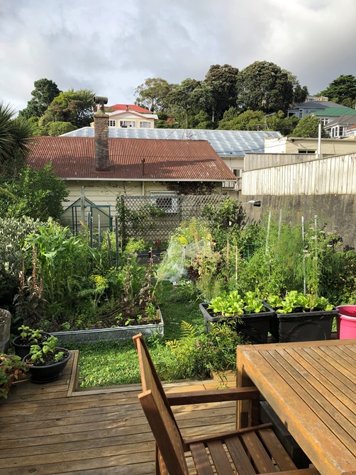 A deck leading to a vegetable garden full of planter boxes and tall plants.