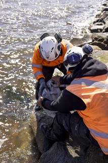 Two men wearing hardhats and high-vis vests placing a large concrete tile over rocks next to the ocean.