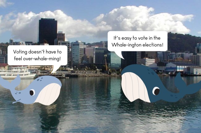 Landmark whale-chat recording on WCC Elections 2022