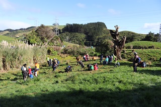 Group of kids planting in Takapu Valley