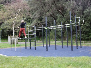 Woman standing on bars at a park.