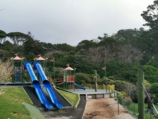 Slides at the gardens.