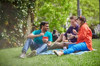 Group of people enjoying a picnic.