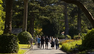 Group of people walking through the gardens.