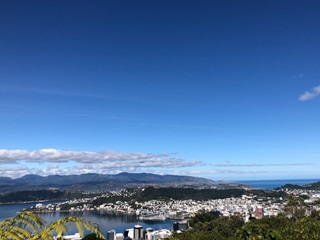 Lookout from Te Ahumairangi Hill