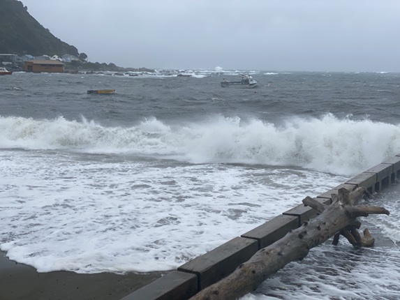 Wild weather on the South Coast with waves crashing on Island Bay Beach