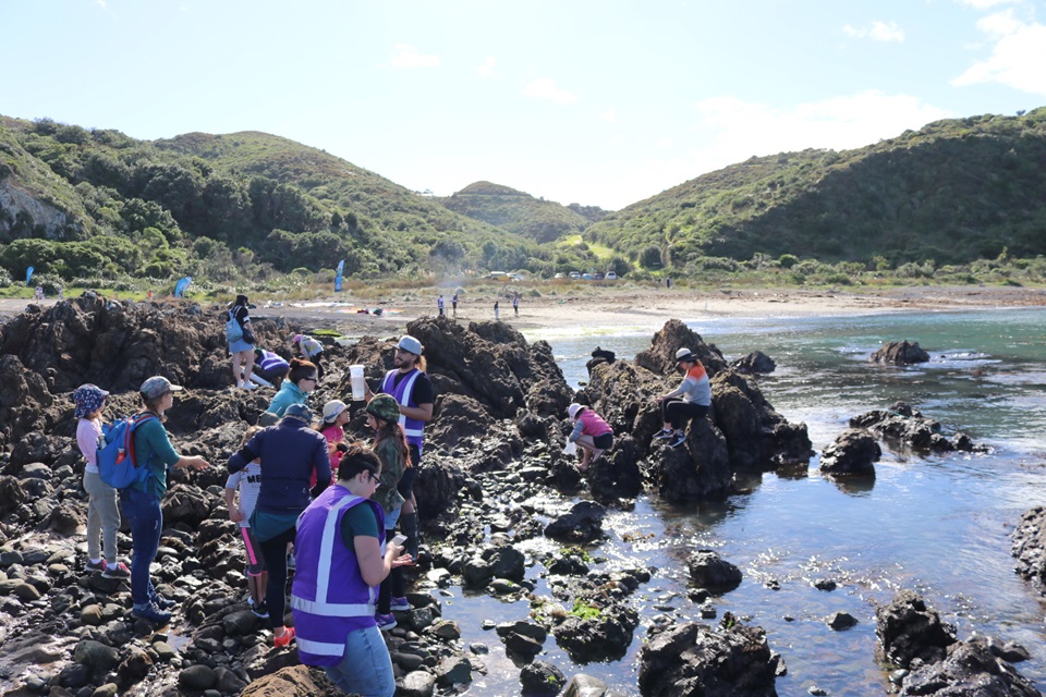 Group of adults and children searching around the coast and among rocks.