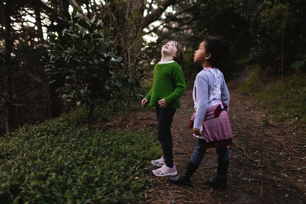 Two young girls dressed in green and purple look up to the tree tops in a dark forest.