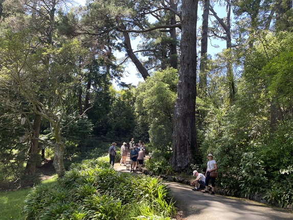 A tree trail in the Botanic Garden.