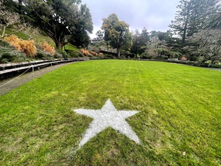 Star at the Botanic Gardens.