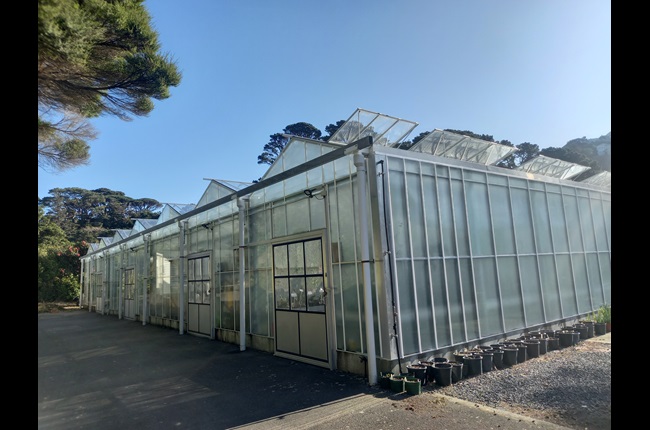 Botanic Garden glasshouses better off without gas