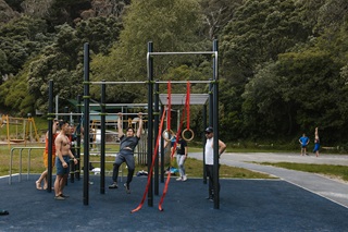 Calisthenics park with a group of people using the equipment.