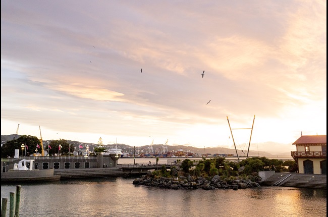Working towards a net zero carbon future