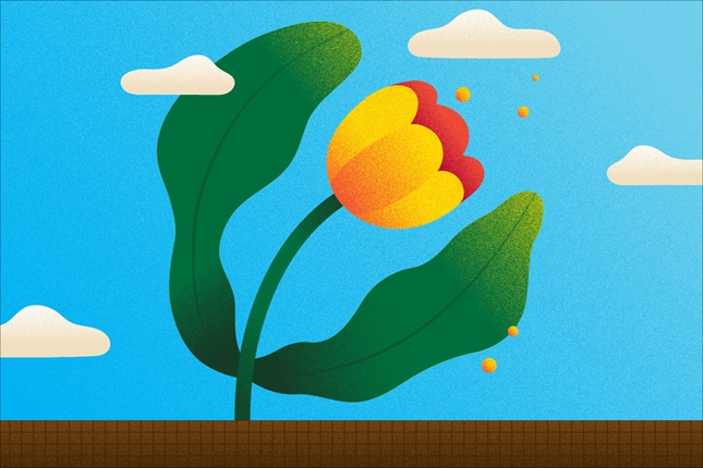 An illustration of a yellow tulip flower with big green leaves perched in front of a bright blue sky with cartoon clouds.