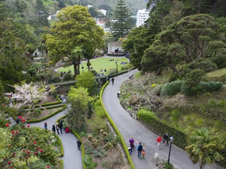 High angle view over the Botanic Gardens with people walking on the paths.