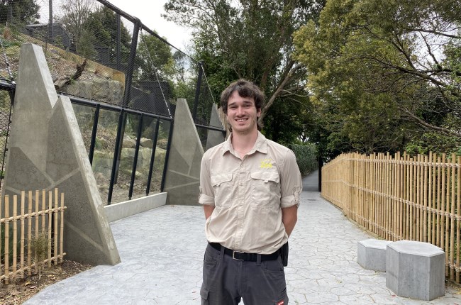 Garden apprenticeship leads to dream job at Wellington Zoo