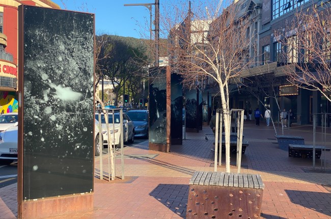 New exhibition brings a light touch to Courtenay Place