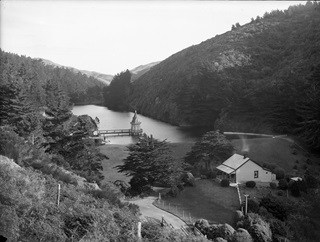 View of the valley in Zealandia with old buildings and the valve tower.